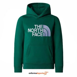 SUDADERA JUNIOR THE NORTH FACE DREW PEAK HOODIE | EVERGREEN