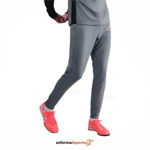 Pantalón hombre Nike Academy Dri-Fit | COOL GREY/COOL GREY/BRIGH